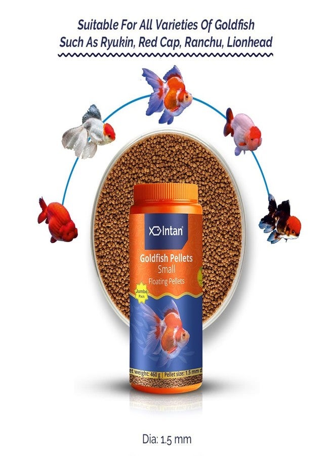 كينكو حبيبات كينكو جروول إنتان للأسماك الذهبية (صغيرة عائمة 1.5 مم) | 460 جم - غذاء عالي القيمة الغذائية لجميع أنواع الأسماك الذهبية - ريوكين، ريد كاب، رانشو، وليون هيد (460 جم) - Image 2